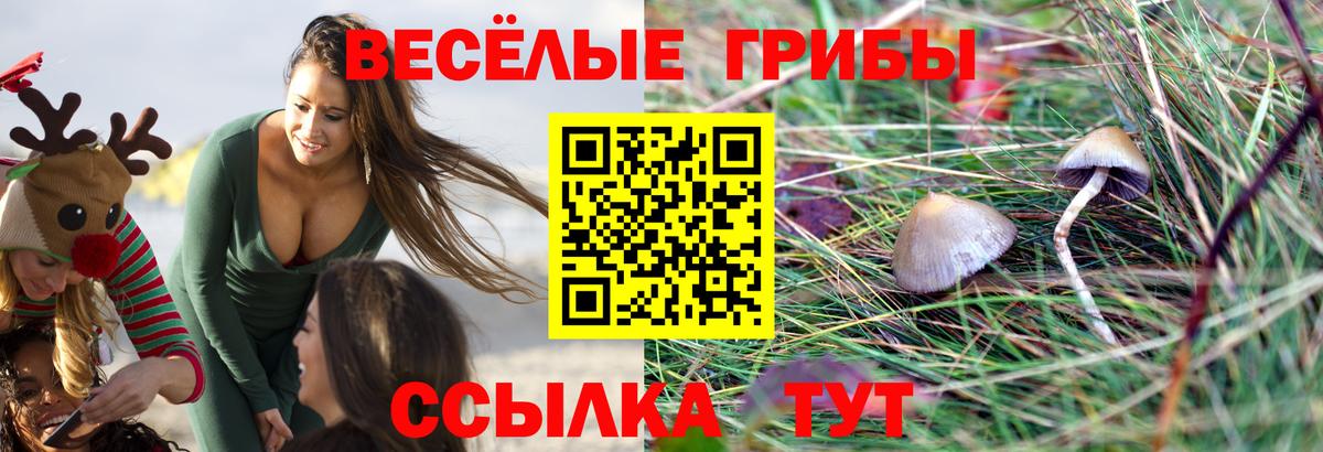 Галлюциногенные грибы мухоморы Обнинск