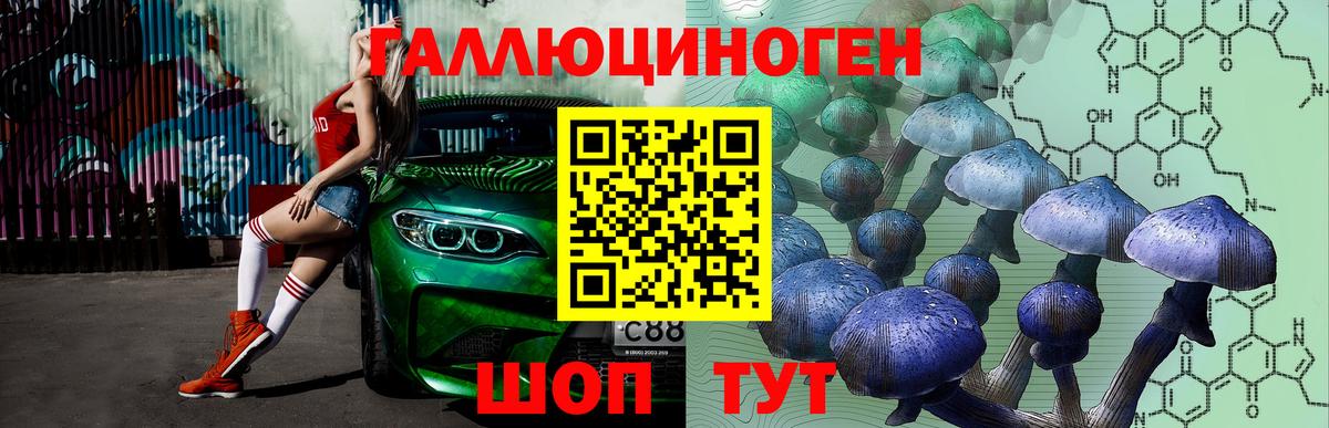 Галлюциногенные грибы мицелий  Галлюциногенные грибы Cubensis  Обнинск  как найти закладки  Вход с VPN 
